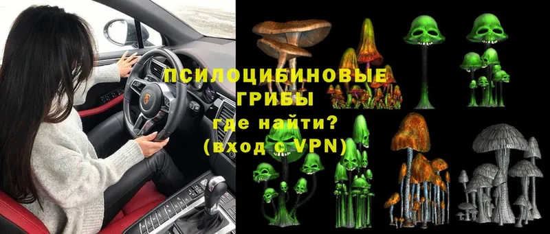 дарнет шоп  Ковылкино  mega как зайти  Псилоцибиновые грибы Magic Shrooms 